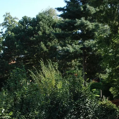Garden55 * Arrondissement di Malines